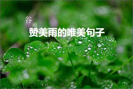 广西网站推广 赞美雨的唯美句子（文案325条）